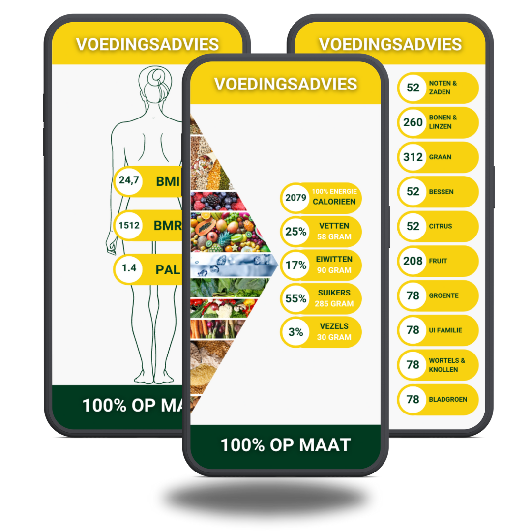 Voedingsadvies plantaardig mock up bmi bmr voedselgroepen macronutrienten vegan voedselpiramide