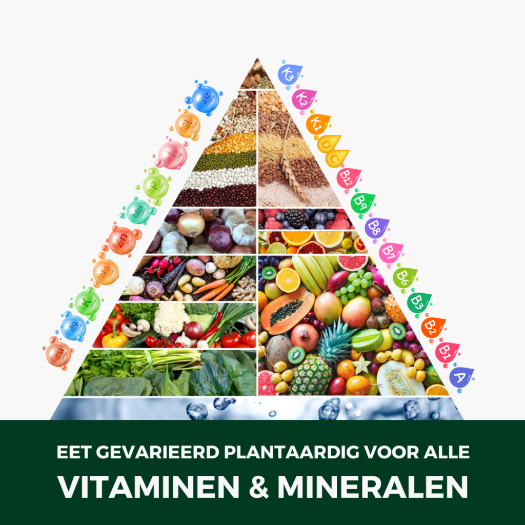 VAKER VEGAN VOEDINGSPIRAMIDE MICRONUTRIENTEN PLANTAARDIG DIEET VITAMINEN EN MINERALEN