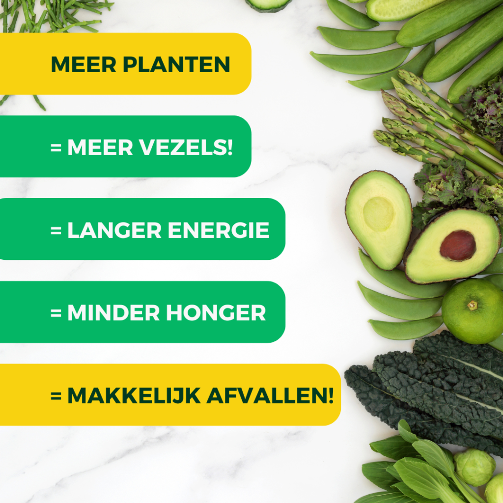 meer planten is meer vezels is meer energie is minder honger is makkelijk afvallen